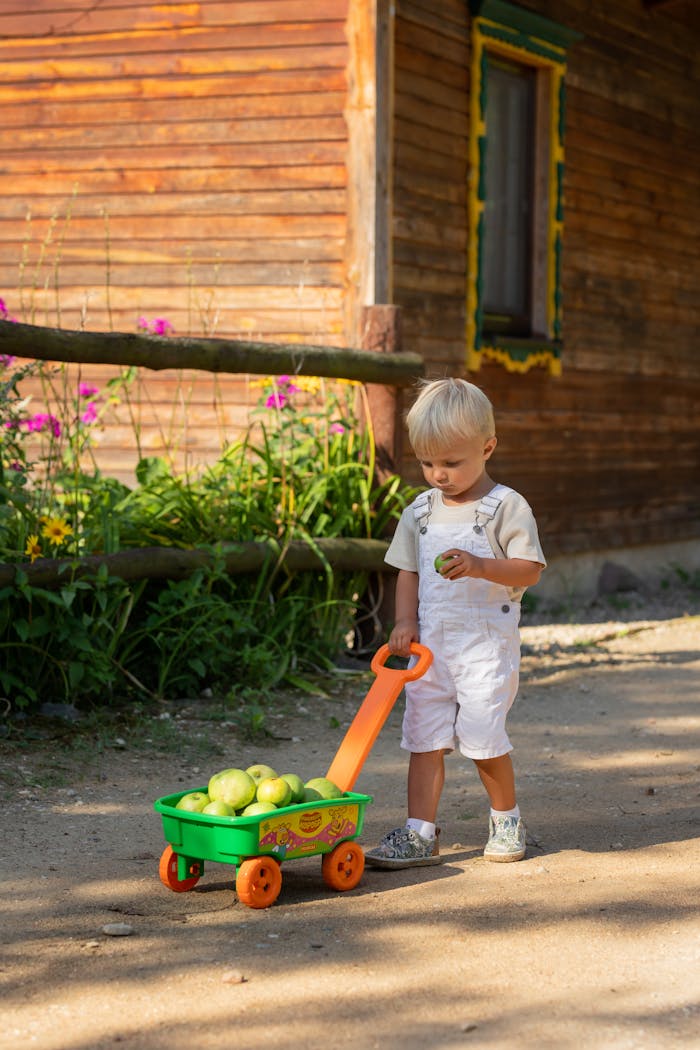Home A young boy in white overalls playing outdoors with a toy wagon full of green apples.